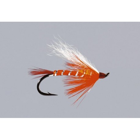 Polar Shrimp