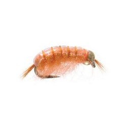Bh Scud Light Orange