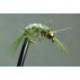 Bh Scud Olive