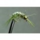 Bh Scud Olive