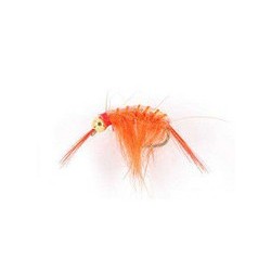 Bh Scud Orange