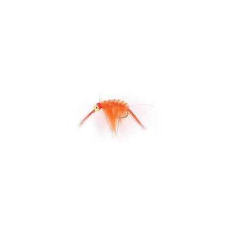 Bh Scud Orange