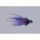 Rainys Purple Pepper Head A