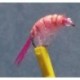 Bh Scud Pink