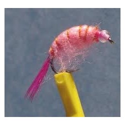 Bh Scud Pink