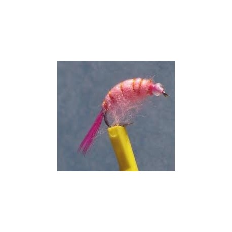 Bh Scud Pink