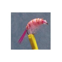 Bh Scud Pink