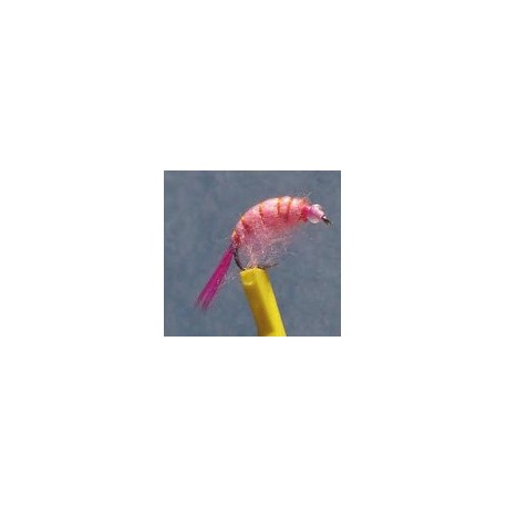 Bh Scud Pink