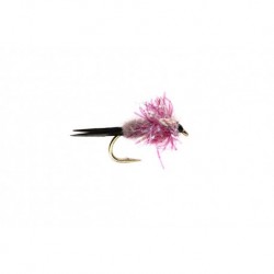 Rusher's Steelhead Purple