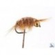 Bh Scud Tan