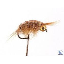 Bh Scud Tan