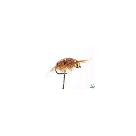 Bh Scud Tan