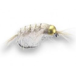 Bh Scud White