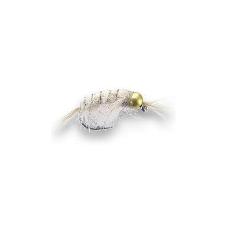 Bh Scud White