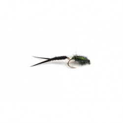 Senyo's Wiggle Stone Peacock