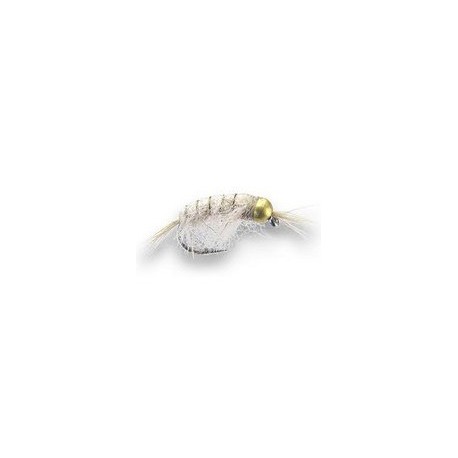 Bh Scud White