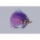Sheweys Winter Spawning Purple