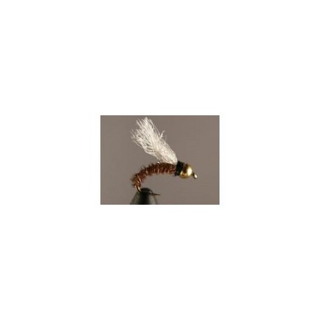 Bh Shop Vac