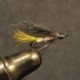 Silver Tail