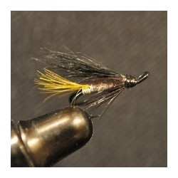 Silver Tail