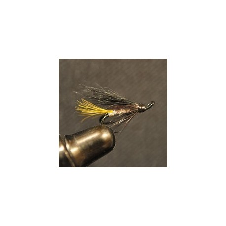 Silver Tail