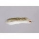 Tan White Double Bunny (Barbell) Weighted
