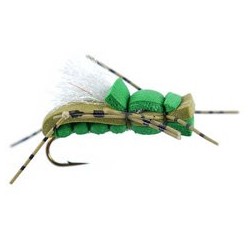 Rat Alber Olive