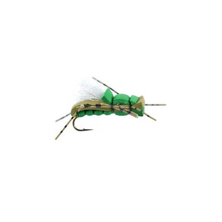 Rat Alber Olive