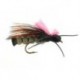 Rogue River Skwalla