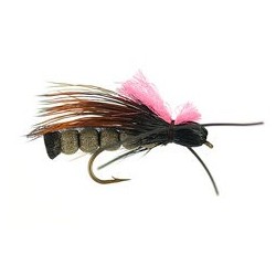 Rogue River Skwalla