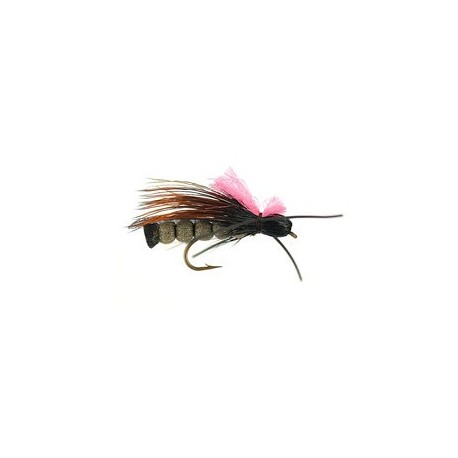 Rogue River Skwalla