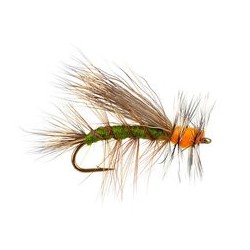 Stimulator Olive