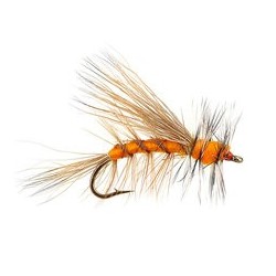 Stimulator Orange