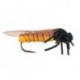 Stone Fly