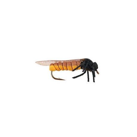 Stone Fly