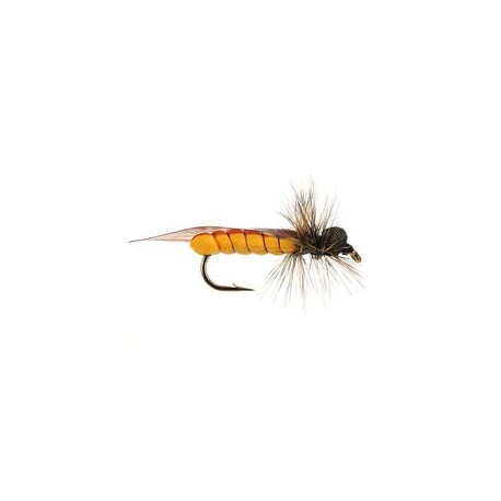Stone Fly Hf