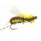 Taylors Fat Albert Yellow