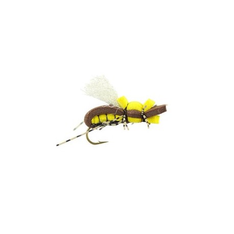 Taylors Fat Albert Yellow