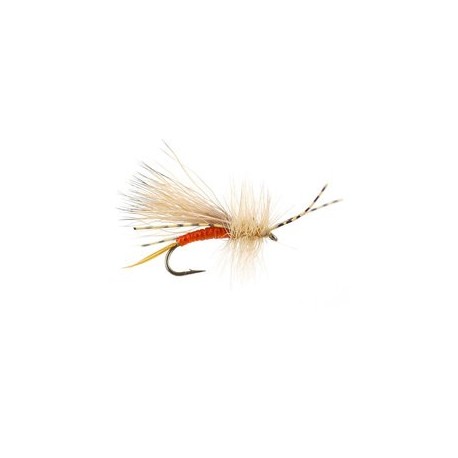 Wilsons Little Golden