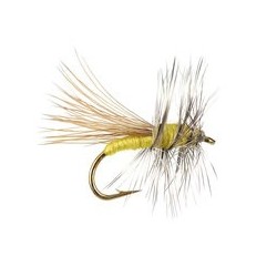 Yellow Sally