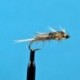Bead Head Stone Fly Hares Ear Depth Charged