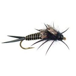 Copperback Stone Black