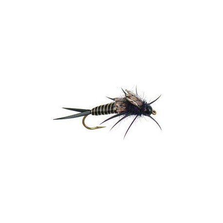 Copperback Stone Black