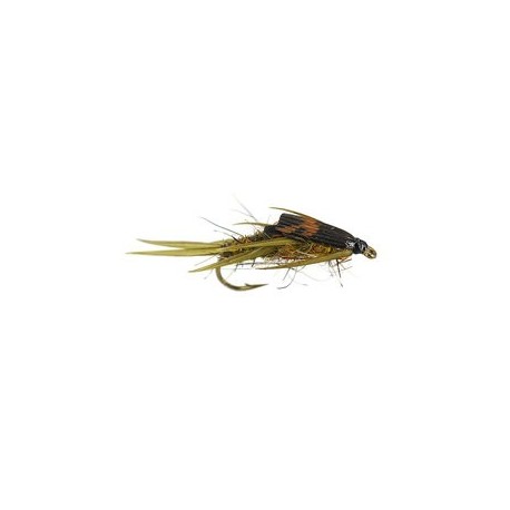 Double Bh Rough Olive Stonefly