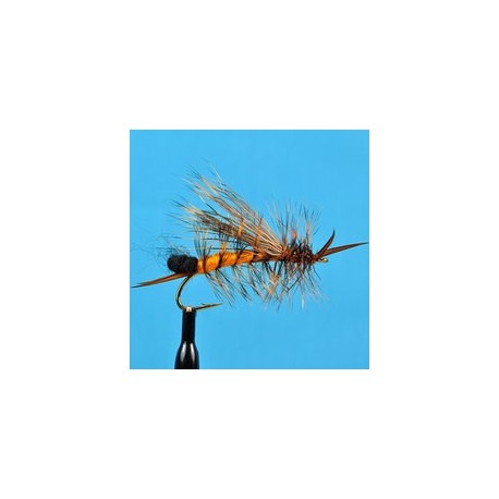 Egg Laying Stone Orange