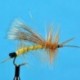 Egg Laying Stone Yellow