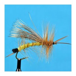 Egg Laying Stone Yellow