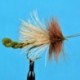 Fluttering Stone Olive