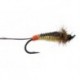 Giant Yellow Bodyglass Stonefly