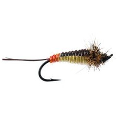 Giant Yellow Bodyglass Stonefly